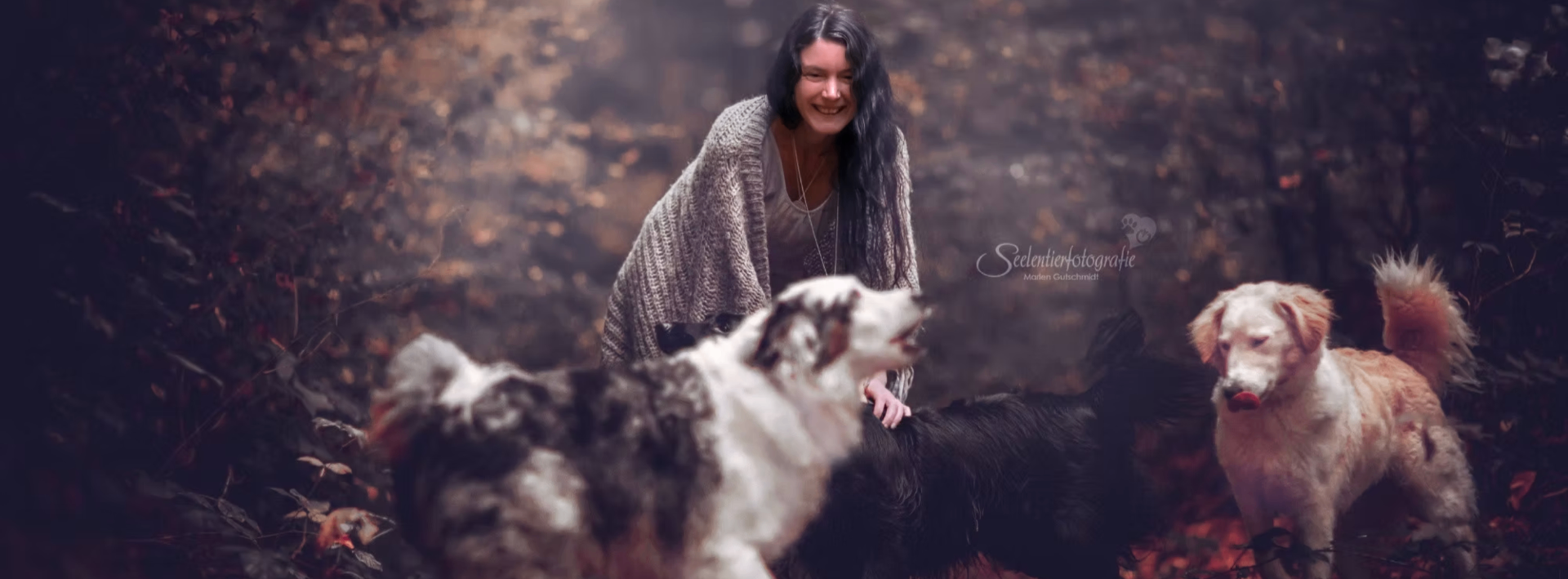 Manuela Zihlmann mit mehreren Hunden im herbstlichen Wald
